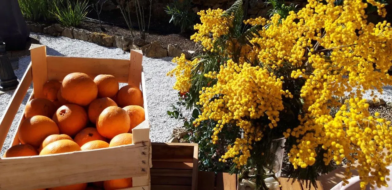 La Dolce Vita Opio Bed & Breakfast