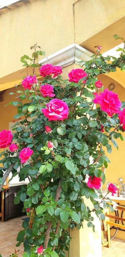 Bed & Breakfast La Dolce Vita Opio