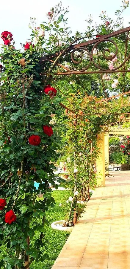 La Dolce Vita Opio 0*,