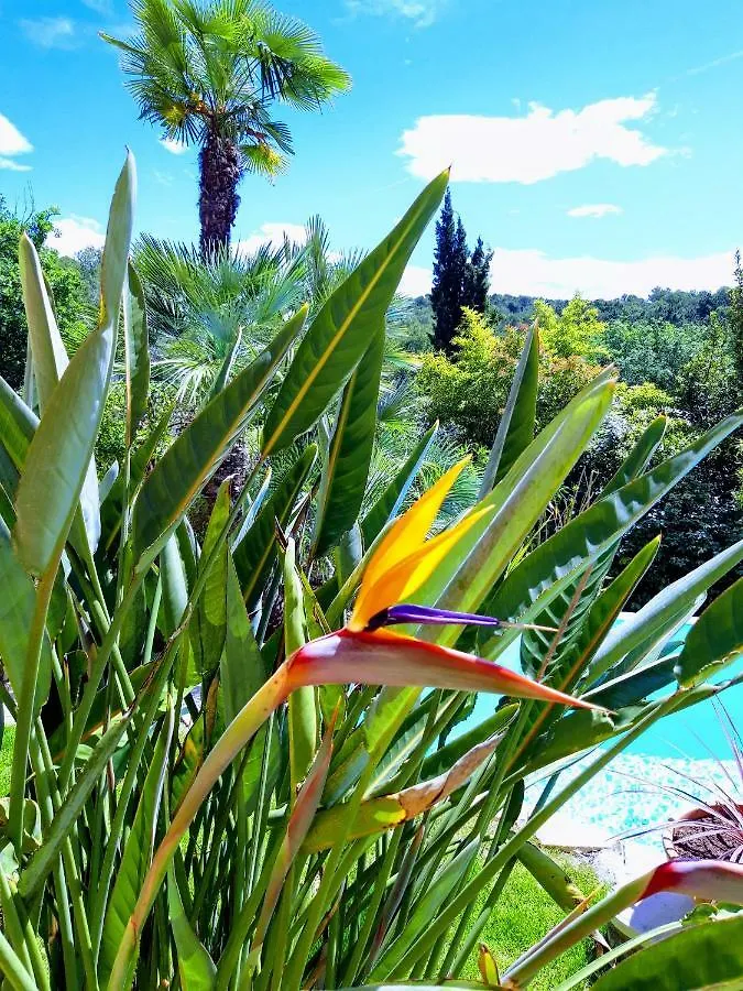 La Dolce Vita Opio Bed & Breakfast